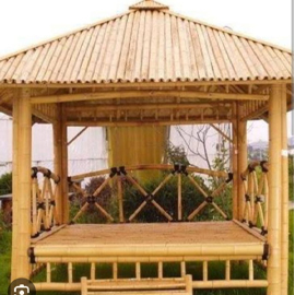 Bamboo resort umbrella